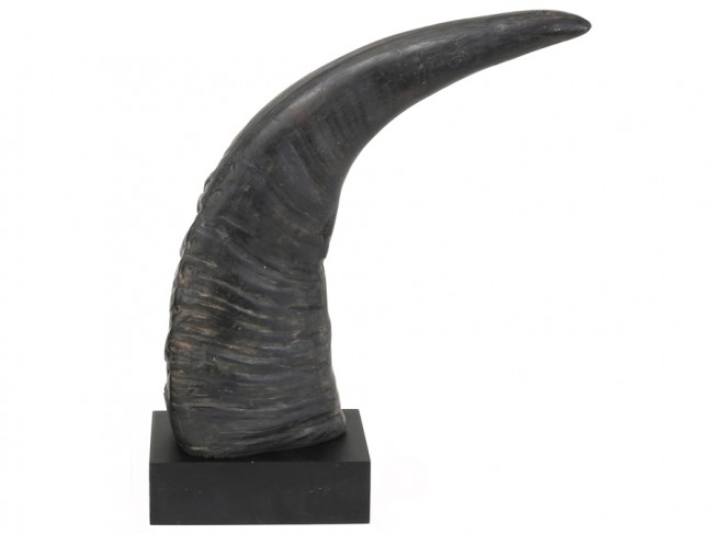 Rhinoceros Horn Right Side (09-575B)