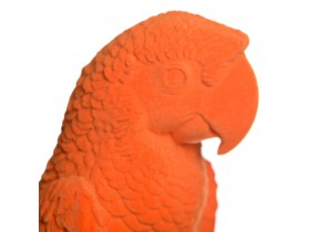 Orange Parrot (154055)